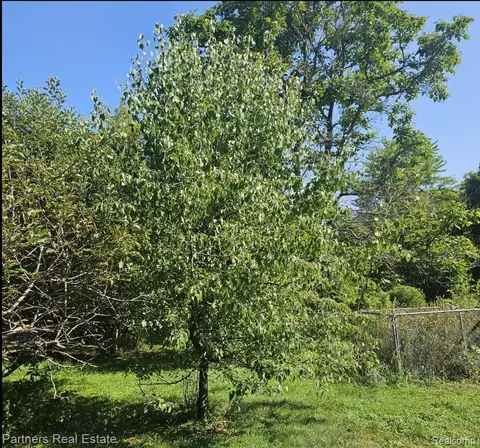 Other - 1382 Lucy Rd, Marion, MI 48843 photo 7 of 9