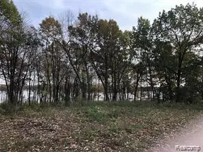 11699 Big Lake Rd, Springfield, MI 48350