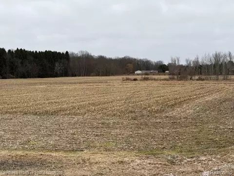 Vl N Branch Road, Deerfield, MI 48461
