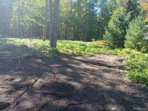 0 Goldenrod Dr, Roscommon, MI 48629