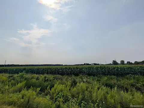 0 Brown Rd, Greenwood, MI 48006