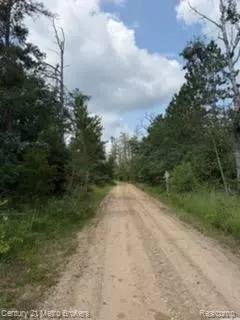 0000 Winding Rd, Albert, MI 49756