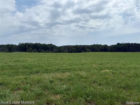 300 E Hubert Rd, Caledonia, MI 48762 photo 5