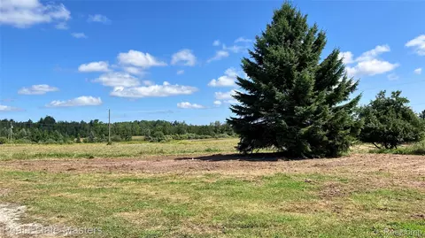 300 E Hubert Rd, Caledonia, MI 48762 photo 8