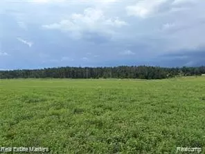 300 E Hubert Rd, Caledonia, MI 48762 photo 3