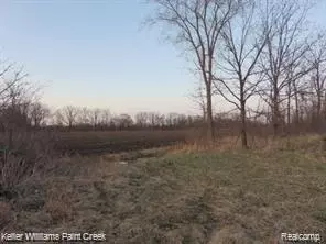 73636 Mc Kay Rd, Bruce, MI 48065 photo 16