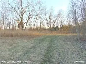 73636 Mc Kay Rd, Bruce, MI 48065 photo 9