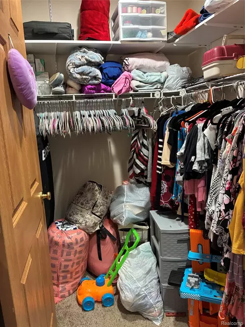 Other - 10995 E Isabella County Line Rd, Wise, MI 48618 photo 8 of 27