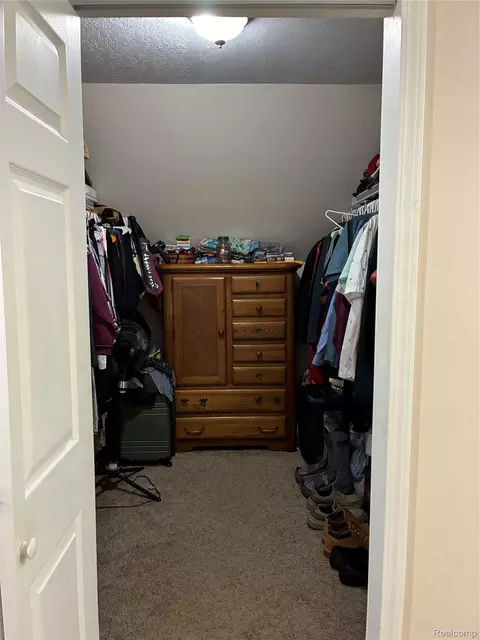 Other - 10995 E Isabella County Line Rd, Wise, MI 48618 photo 9 of 27