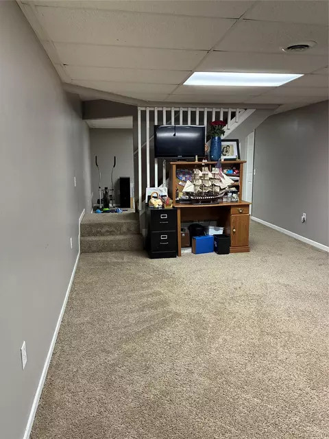 Other - 10995 E Isabella County Line Rd, Wise, MI 48618 photo 18 of 27