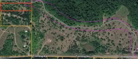 V/l Tremblay Road, Custer, MI 49659