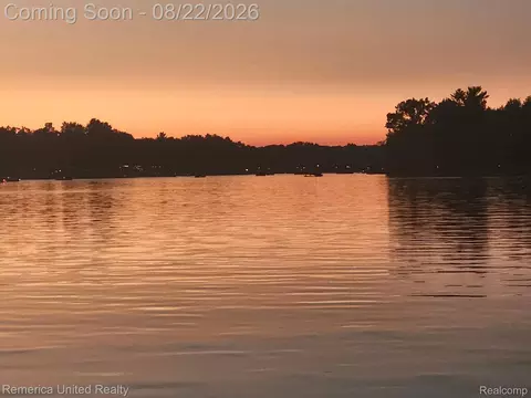 View/Area - 12035 Read Rd, Fenton, MI 48430 photo 3 of 3