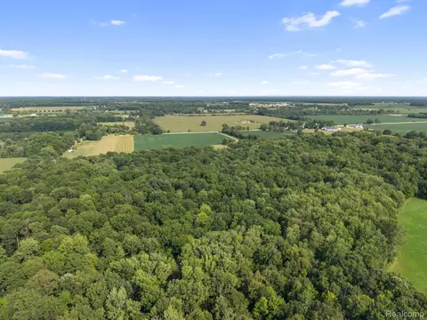 View/Area - 76565 Mcfadden Rd, Armada, MI 48005 photo 13 of 13