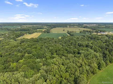 View/Area - 76565 Mcfadden Rd, Armada, MI 48005 photo 8 of 13