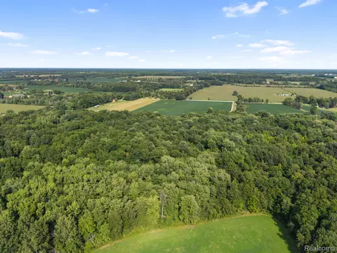 View/Area - 76565 Mcfadden Rd, Armada, MI 48005 photo 12 of 13