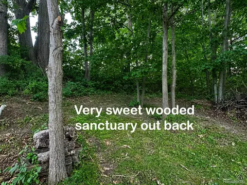 Exterior - 3616 Wedgewood Dr, Elba, MI 48446 photo 18 of 21