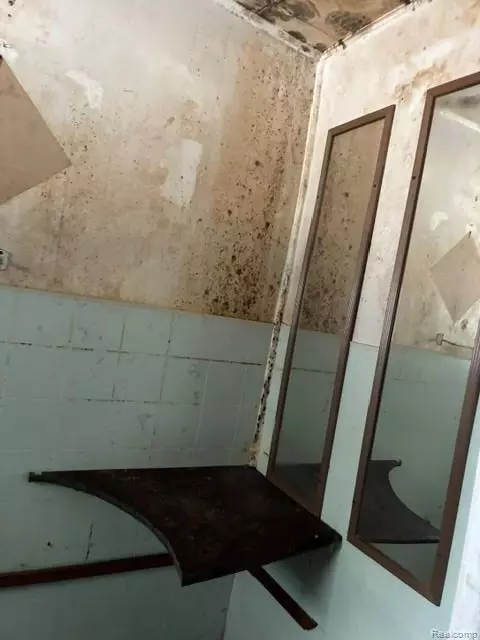 Bath - 215 10th St W, Flint, MI 48503 photo 5 of 5