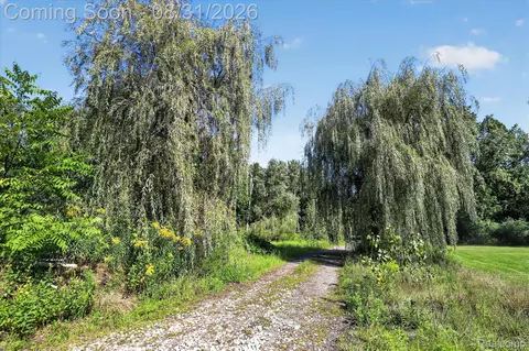 Other - 10165 Talladay Rd, Augusta, MI 48191 photo 18 of 19