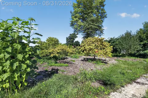 Other - 10165 Talladay Rd, Augusta, MI 48191 photo 11 of 19
