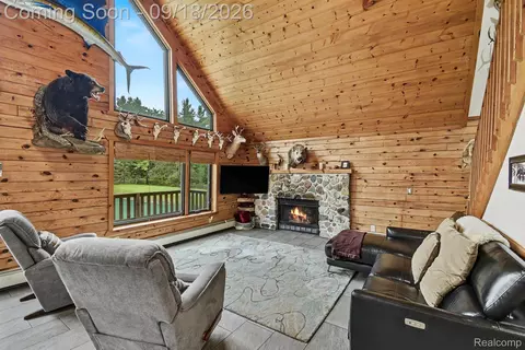 Living - 196 Ray Rd, Big Creek, MI 48647 photo 1 of 1