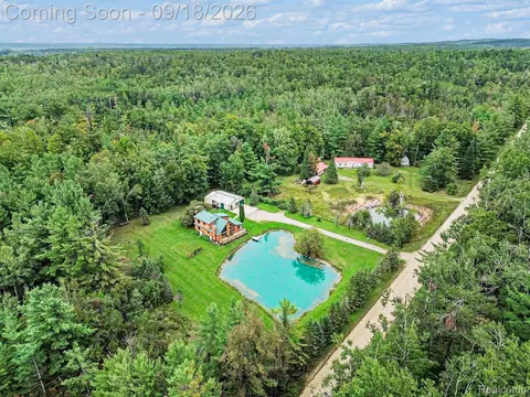 View/Area - 196 Ray Rd, Big Creek, MI 48647 photo 1 of 1