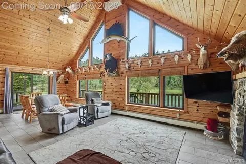 Other - 196 Ray Rd, Big Creek, MI 48647 photo 6 of 19