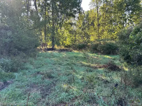 0000 Austin Farms Parcel C, Groveland, MI 48462