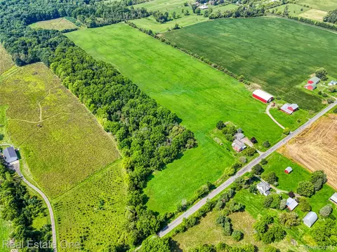1375 N Every Rd, Alaiedon, MI 48854 photo 3