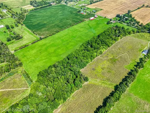 1375 N Every Rd, Alaiedon, MI 48854 photo 11