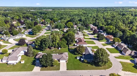 View/Area - 3055 Vineyard Ln, Mount Morris, MI 48433 photo 4 of 7