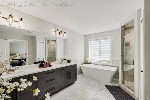 Bath - 19266 Thompson Dr, Macomb, MI 48042 photo 4 of 5