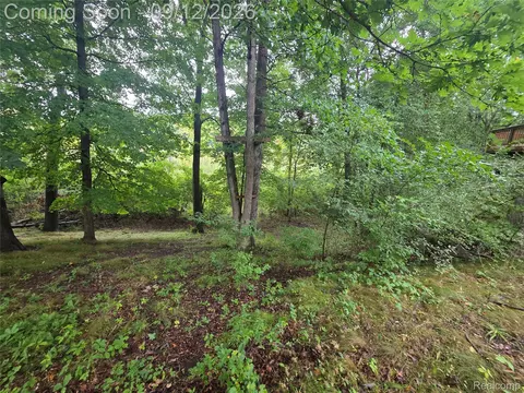 Other - 7500 Welle Rd, Brighton, MI 48116 photo 10 of 15