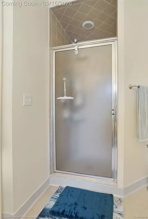 Bath - 731 E Bluff Ct, Rochester Hills, MI 48307 photo 4 of 6