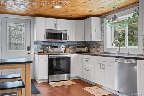 Other - 507 S Main St, Waterloo, MI 49259 photo 2 of 12