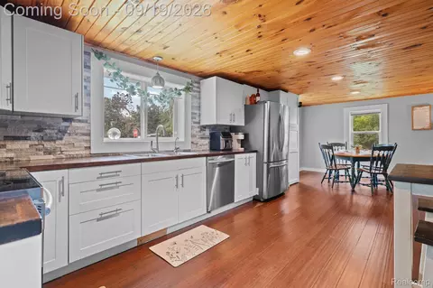 Other - 507 S Main St, Waterloo, MI 49259 photo 3 of 12