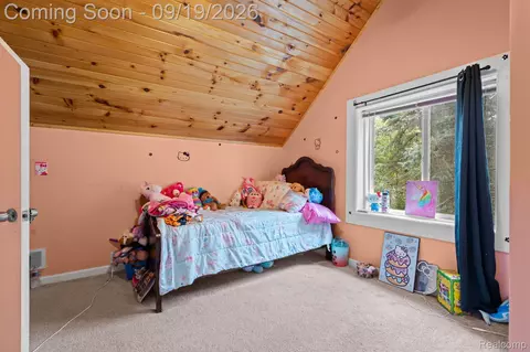 Bedroom - 507 S Main St, Waterloo, MI 49259 photo 3 of 5