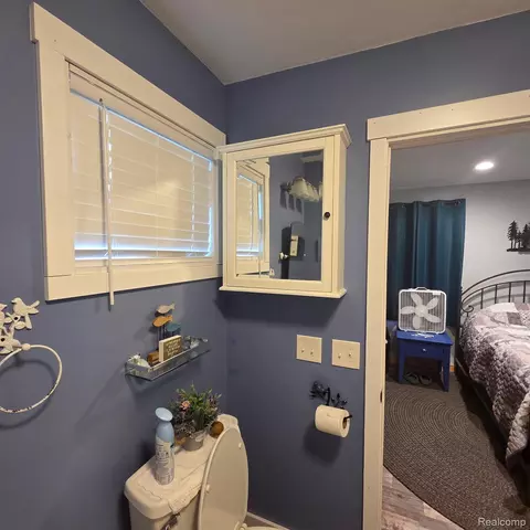 Bath - 1678 E Shore Dr, Clement, MI 48610 photo 1 of 1