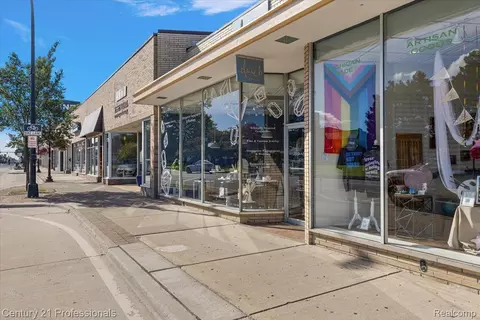 Other - 595 E Drayton St, Ferndale, MI 48220 photo 14 of 21