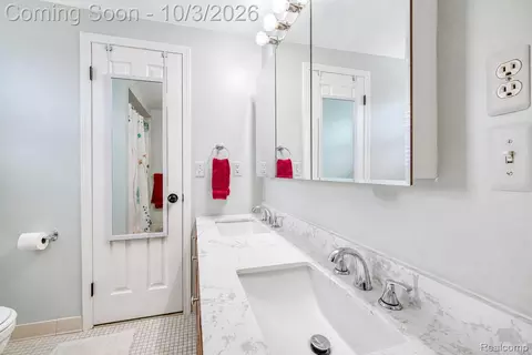 Bath - 17459 Delaware Ct, Macomb, MI 48044 photo 3 of 4
