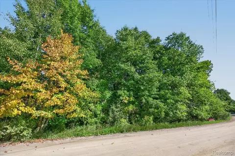 Other - 3133 Farmbrook Ln, Metamora, MI 48455 photo 21 of 25