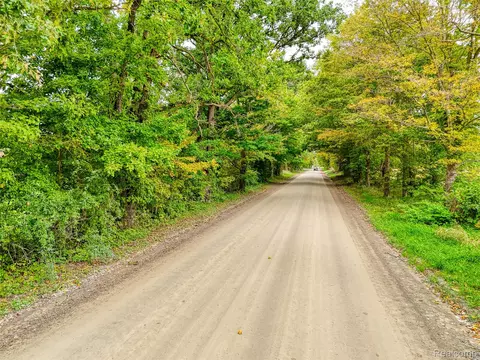 V/l Pingree Rd. Road, Marion, MI 48843