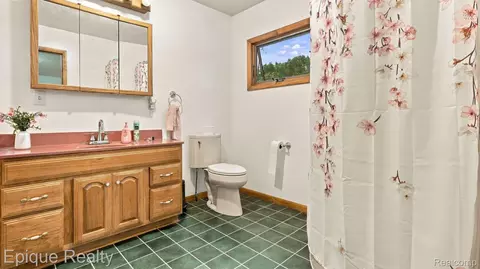Bath - 6320 Winegar Rd, Woodhull, MI 48872 photo 4 of 4