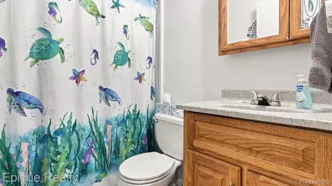 Bath - 6320 Winegar Rd, Woodhull, MI 48872 photo 1 of 4
