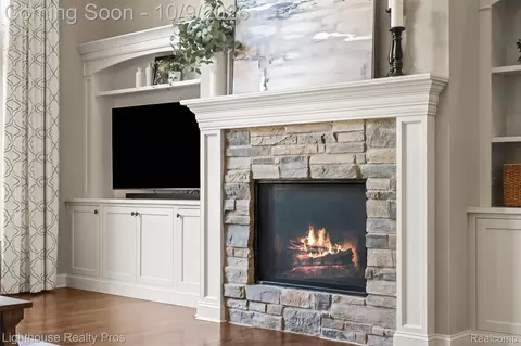 Other - 5648 Ciderberry Dr, Genoa, MI 48116 photo 9 of 41
