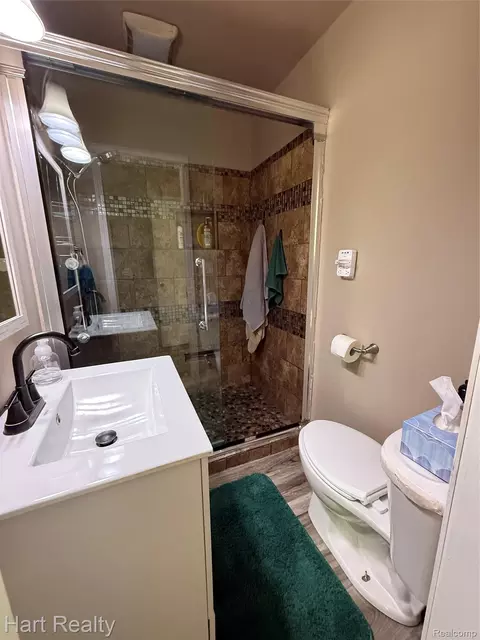 Bath - 539 N Silver St, Bad Axe, MI 48413 photo 2 of 4