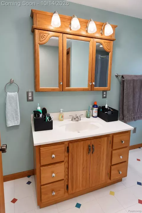 Bath - 7737 Ormes Rd, Tuscola, MI 48768 photo 3 of 5