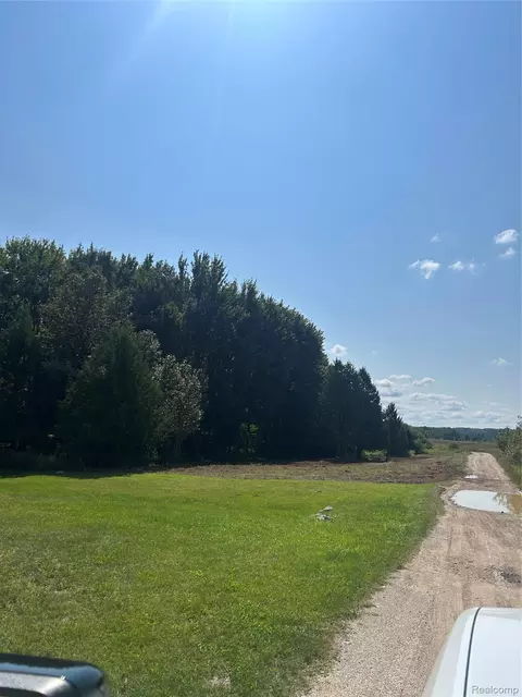 V/l Thorsen River Dr, South Arm, MI 49727