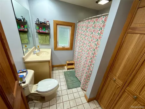 Bath - 1469 Hendricks Dr, Monroe, MI 48162 photo 3 of 3