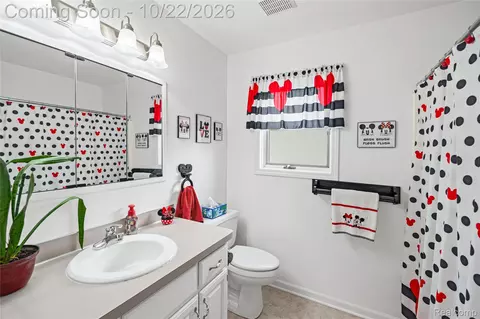 Bath - 816 Meadow Dr, Davison, MI 48423 photo 3 of 6