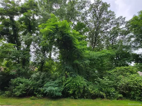 lot41 Pinemont, Hamburg, MI 48116